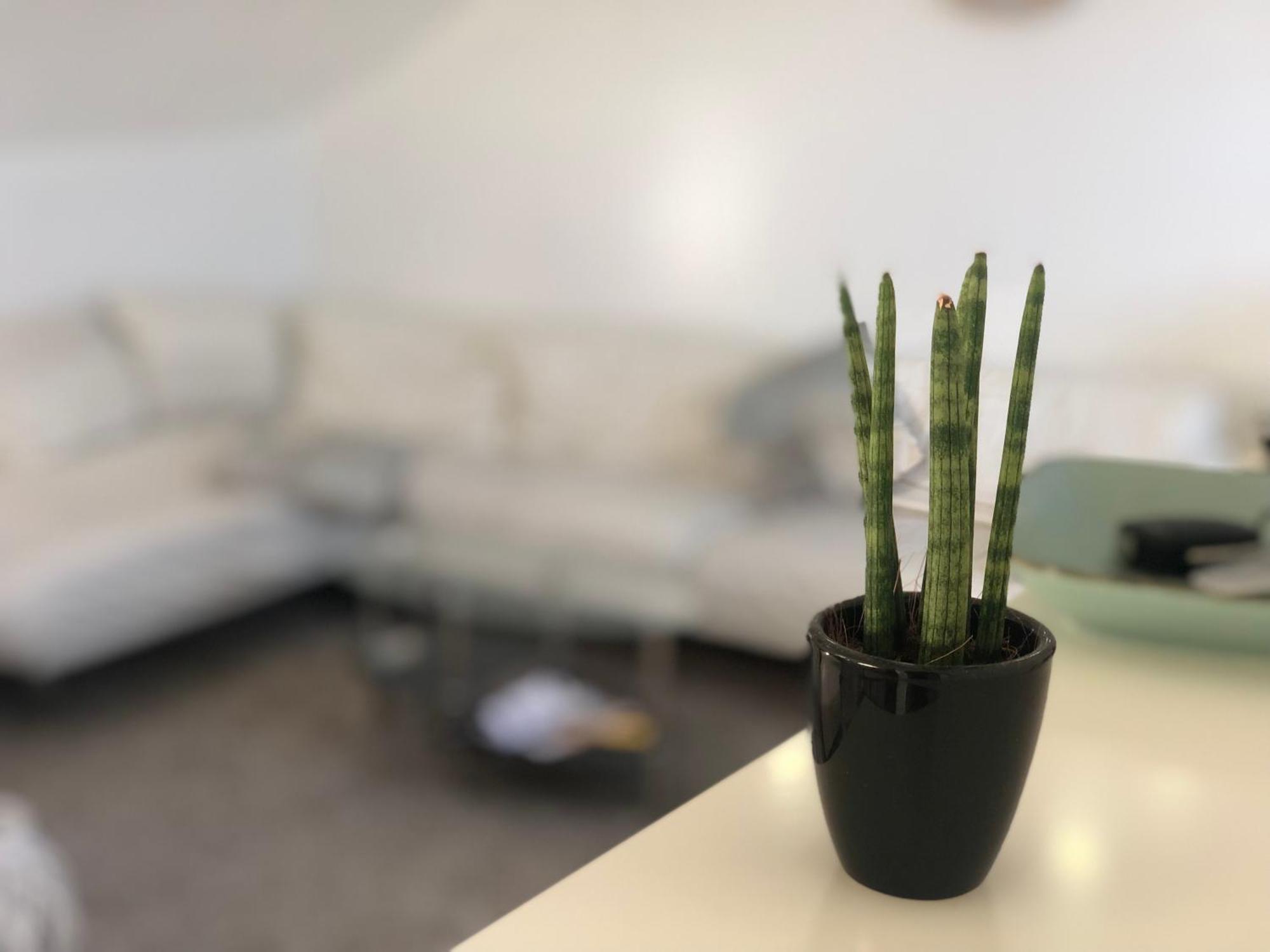 Caleva's Apartment