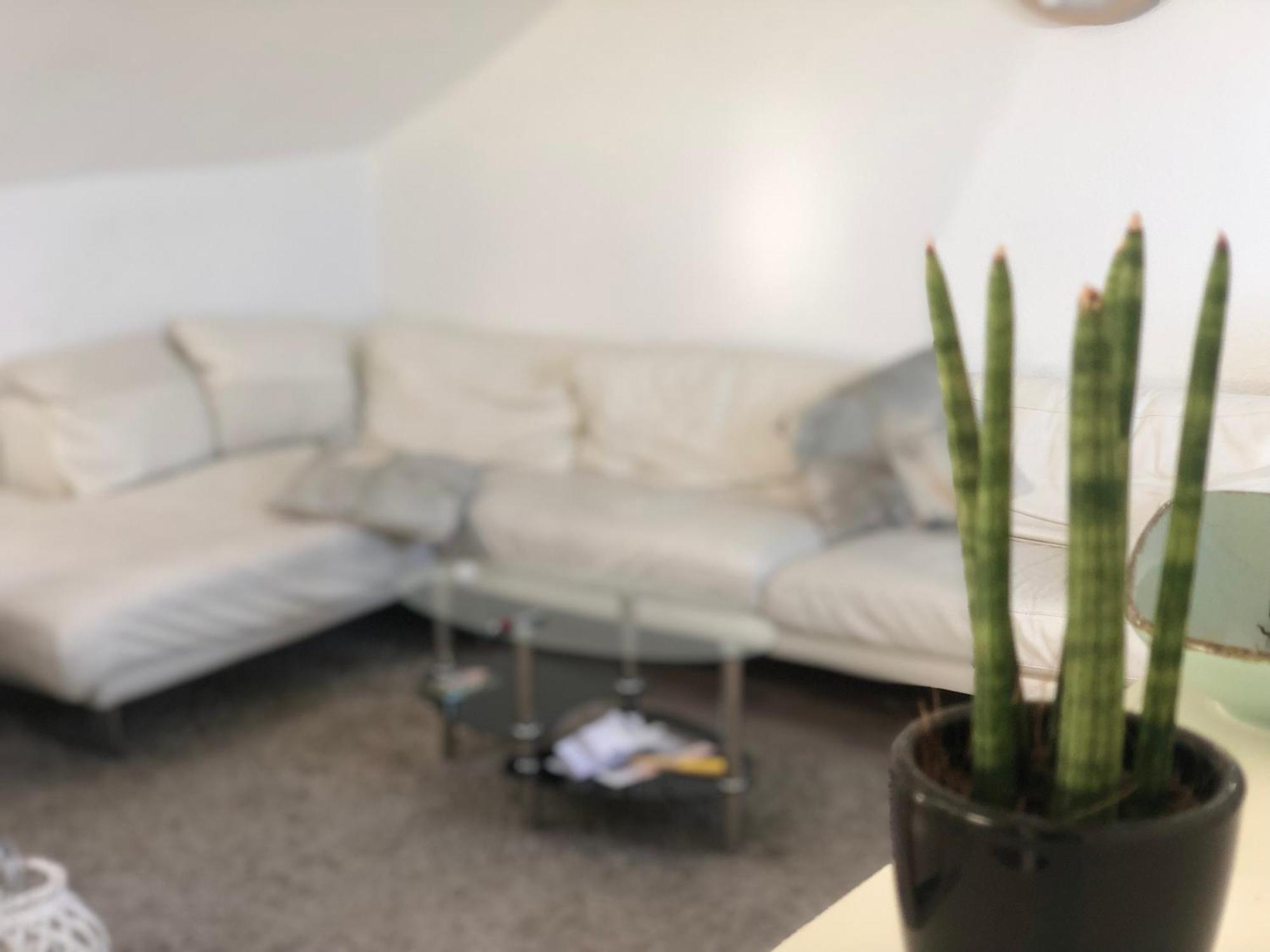 Apartment Caleva's *